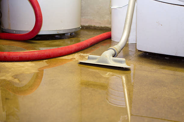 Best Water damage restoration near me  in Moss Beach, CA