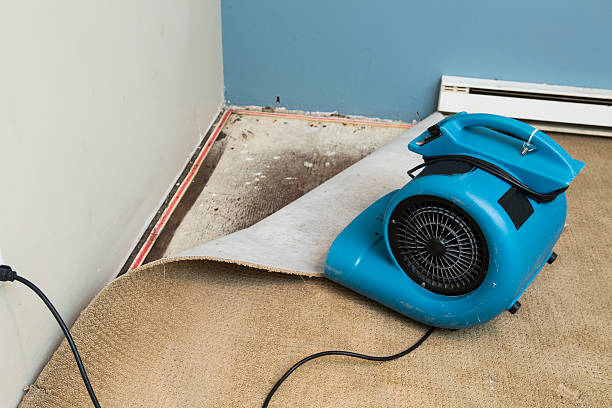 Best Water damage restoration near me  in Moss Beach, CA